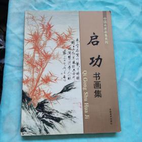 启功书画集