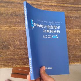 金融统计检查指引及案例分析