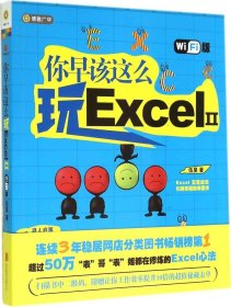 你早该这么玩Excel II （WiFi版）