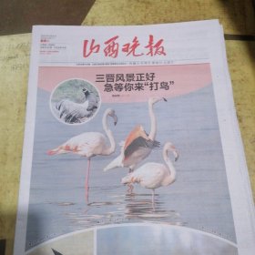 山西晚报2025年4月8日