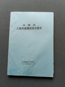 双湖县土地资源调查综合报告