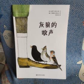 灰狼的歌声