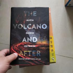 THE ALICIA VOLCANO SUSKIN