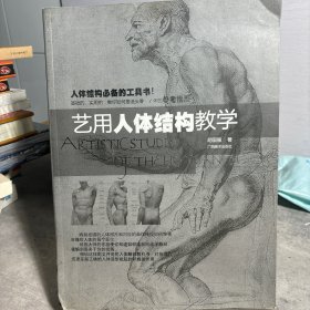 艺用人体结构教学