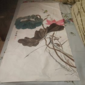 王佳临花鸟