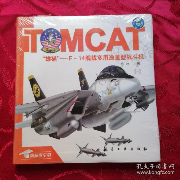 雄猫-F-14舰载多用途重型战斗机