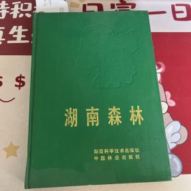 湖南森林