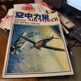 空中力量 美国军机秀 苏联/俄罗斯苏一30战斗机