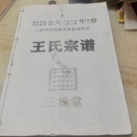 王氏宗谱(共十五卷全)