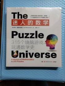 迷人的数学：315个烧脑游戏玩通数学史