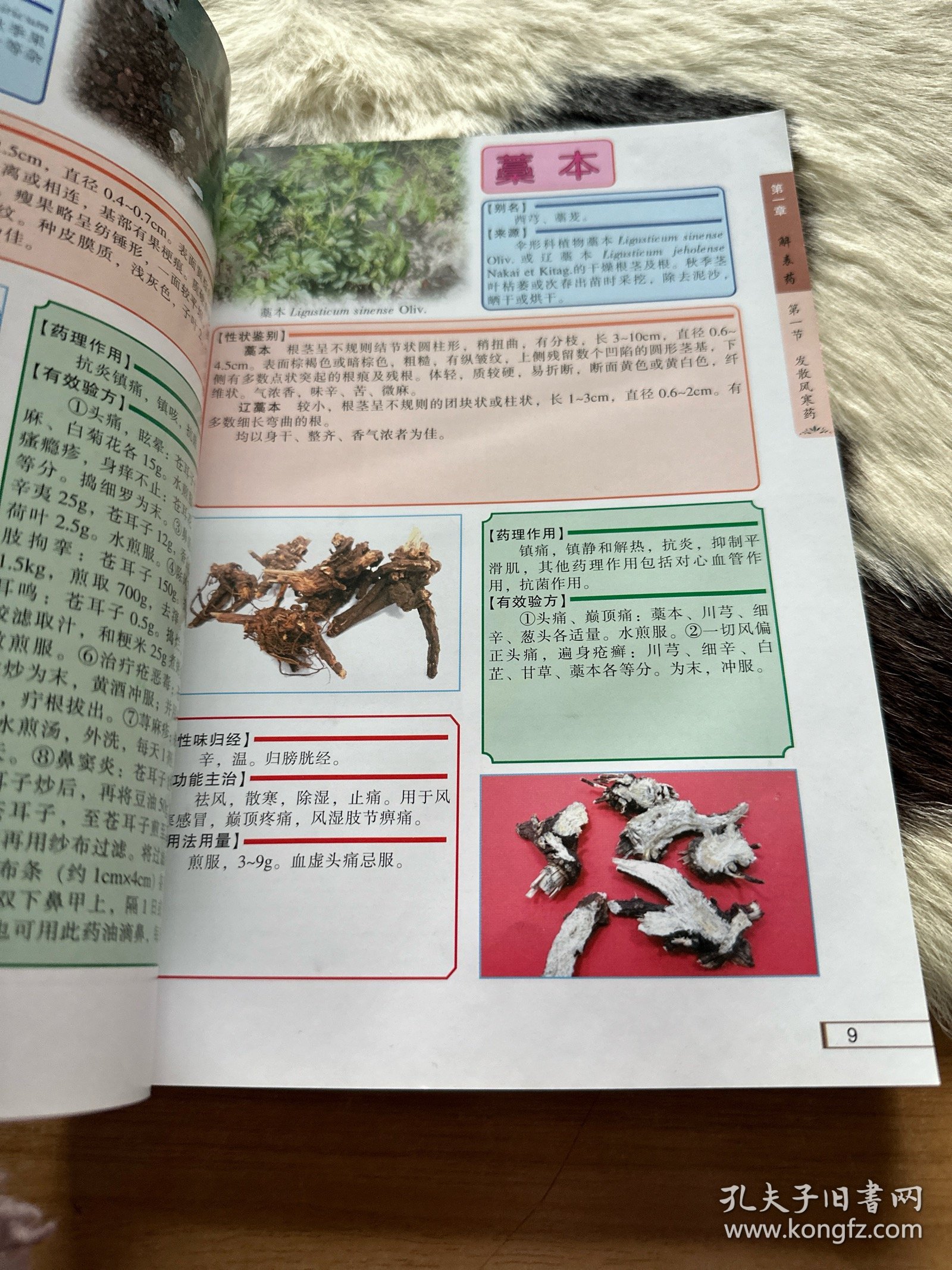 中草药辨识图谱与应用