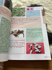 中草药辨识图谱与应用