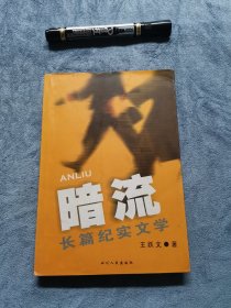 暗流 王跃文 四川人民出版社
