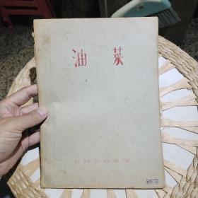 【五十年代大跃进时期经济作物种植资料】油菜 昆明农林学院【五十年代蓝印版资料】