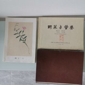野菜与营养 ：全76张图+植物说明