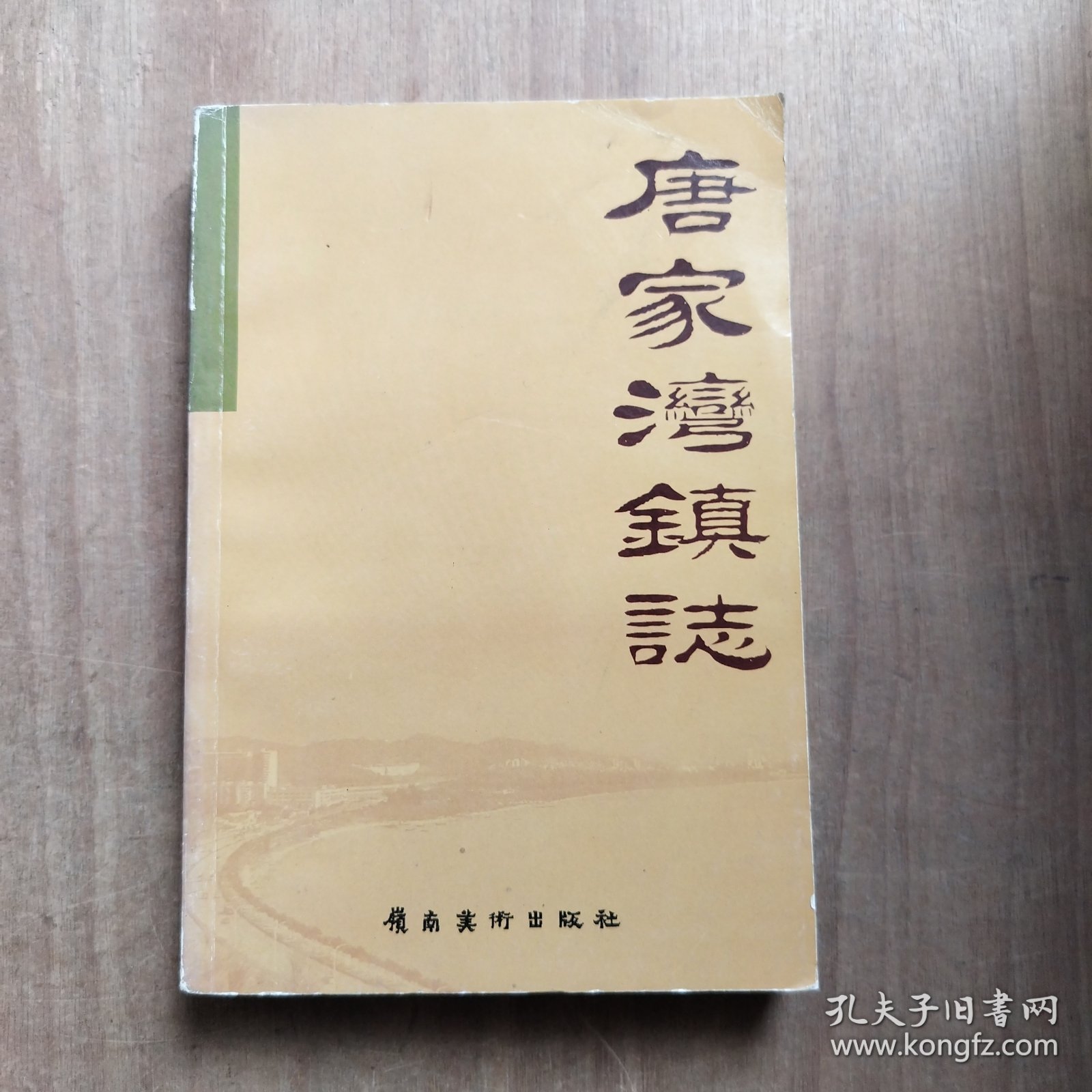 唐家湾镇志