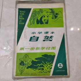 小学课本自然第一册教学挂图上（全套13）