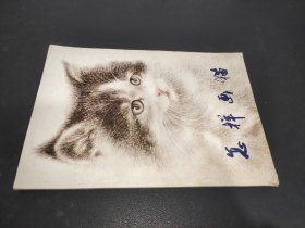 怎样画猫