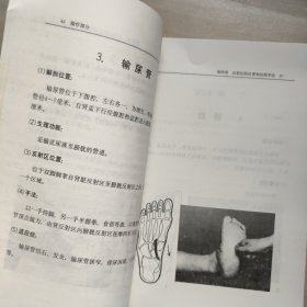 足部反射区健康法学习手册