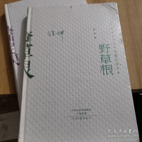 中国当代作家长篇小说典藏：野草根