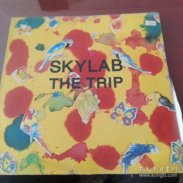 黑胶唱片：英文原版老唱片，SKYLAB THE TRLP