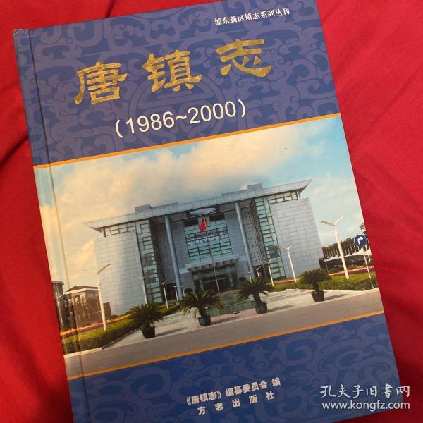 唐镇志:1986-2000