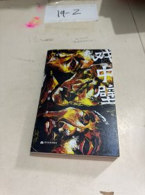 戏中壁