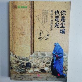 你是尘埃也是光