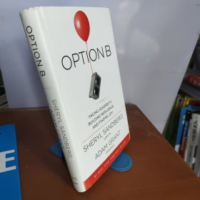 Option B: Facing Adversity, Building Resilience, and Finding Joy