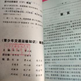 欲与飞机试比快
高速铁路