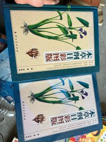 本草纲目彩图版