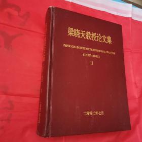 梁晓天教授论文集ⅠI-《 1955-2001）16开精装