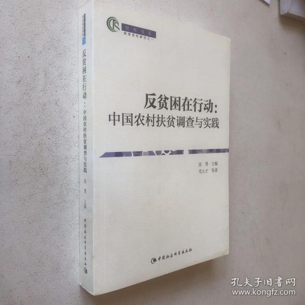 反贫困在行动：中国农村扶贫调查与实践（智库书系）