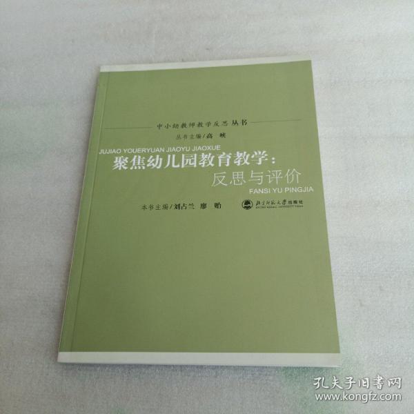 聚焦幼儿园教育教学：反思与评价