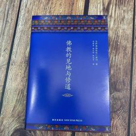 正版 佛教的见地与修道 正见作者宗萨钦哲仁波切首部实修指导书籍