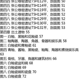 预售  汝州张公巷窑遗址