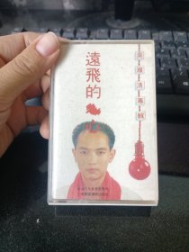 远飞的心磁带