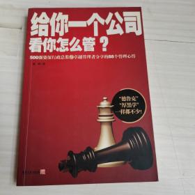 给你一个公司看你怎么管？