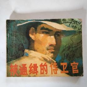 连环画:被通缉的侍卫官