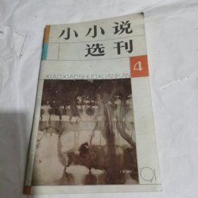 小小说选刊