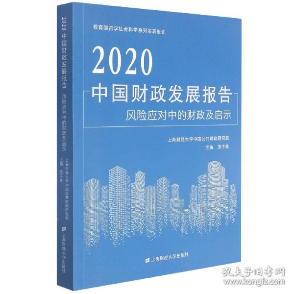 2020中国财政发展报告风险应对中的财政及启示