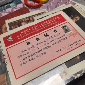 小学毕业证书