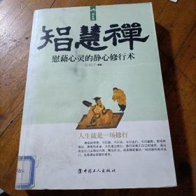 智慧禅：慰藉心灵的静心修行术，脊柱有标签，封皮有污渍，有折痕