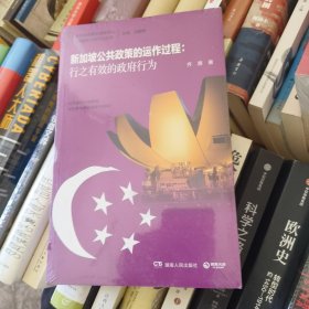 新加坡公共政策的运作过程：行之有效的政府行为