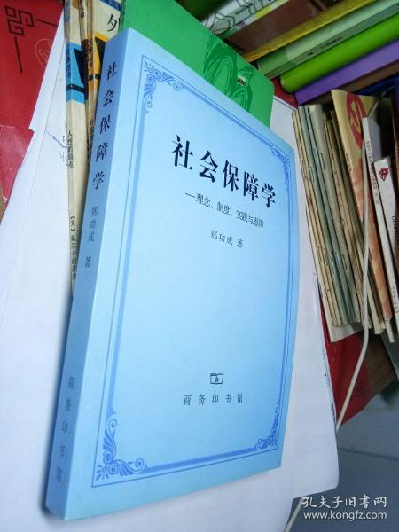 社会保障学:理念、制度、实践和思辨