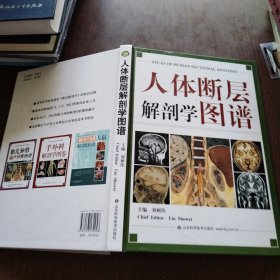 人体断层解剖学图谱