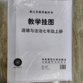 配义务教育教科书道德与法治七年级上册 教学挂图 32张全