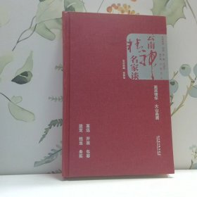 云南精神 丛书 云南精神名家谈