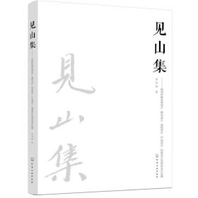 见山集：视觉形象系统设计、徽标设计、招贴设计、产品设计、包装设计及综合设计全案