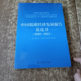 中国低碳经济发展报告蓝皮书（2020-2021）未开封